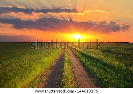 dirt road runs along the field with green grass at sunset