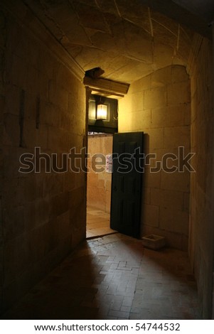 Shadow door