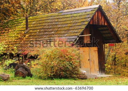 old wood house in forest