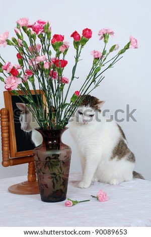 Amazing lady-cat sitting on the table near to vase with flowers and the old mirror