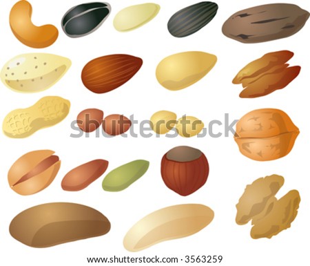 stock vector : Various nuts and seeds, isometric 3d illustration: cashew, 
