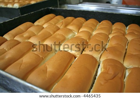 Rows of buns in a tray in a bakery