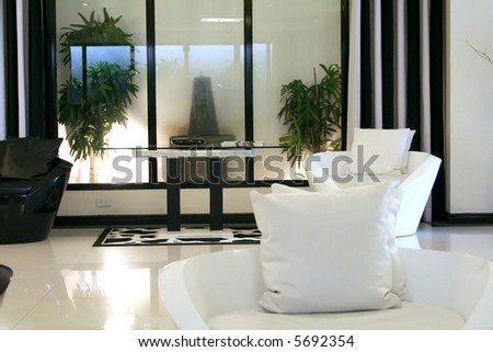 Living room waiting room with elegant modern black and white design