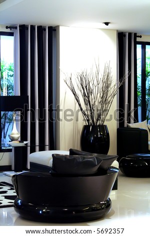Living room waiting room with elegant modern black and white design