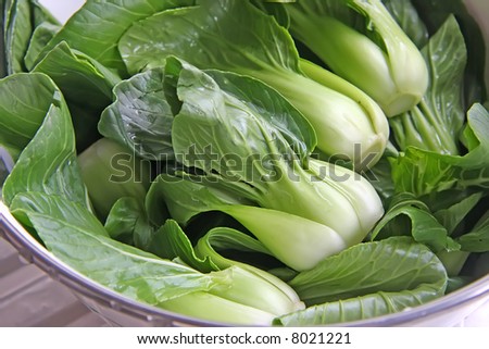Green leafy raw chinese vegetables baby bakchoy
