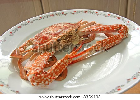 Whole fresh cooked king crab on plate