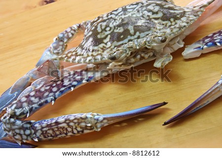 Whole fresh raw king crab on wooden background