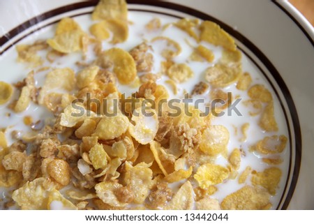 Bowl of breakfast cereal corn flakes in milk