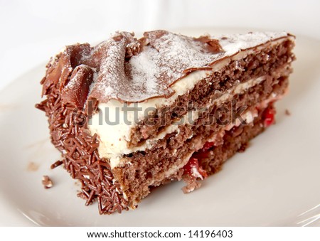 Chocolate black forest cake slice on white plate