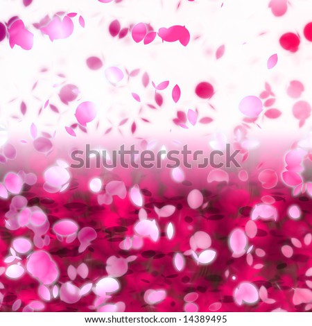 cherry blossom flower background. stock photo : Cherry blossom
