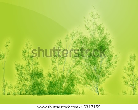 birch tree wallpaper. irch tree wallpaper. of irch