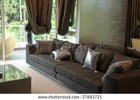 Modern stylish sofa in with elegant cushions