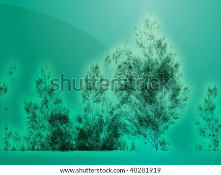 birch tree wallpaper. of irch trees,