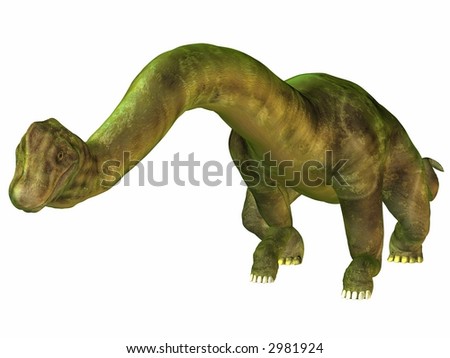 Brontosaurus Vs Brachiosaurus