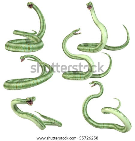 Cartoon Viper Snake