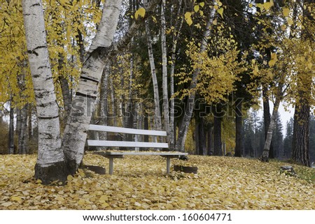 Empty bench in Autumn park.