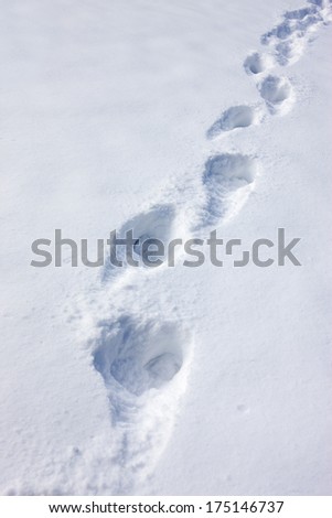 During winter, footsteps track through the fallen snow.