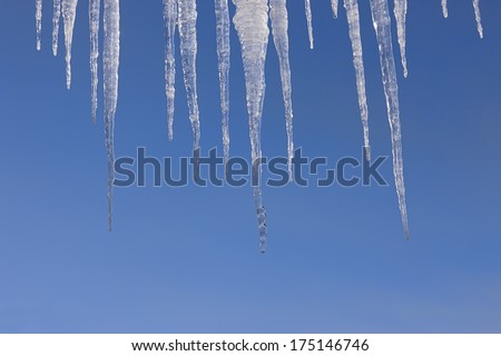 Clear icicles hanging down against a bright blue sky.