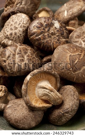 A close up image of a bunch of dried shiitake mushrooms.