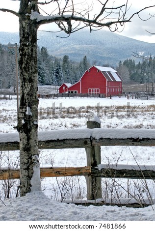 A fence and a tree nicely frame this red barn in a snowy field.