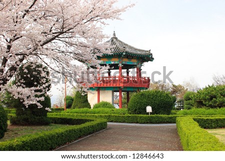 Trees In Korea