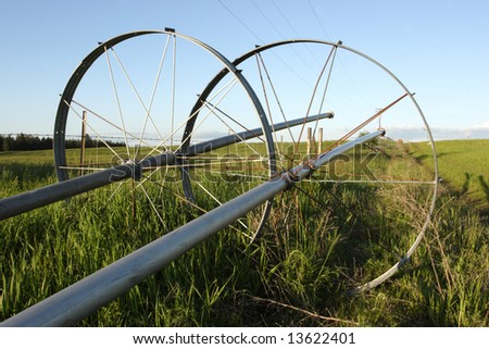 Irrigation pipes in the field.