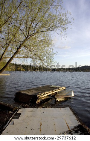 A tree, a dock, and a partly submerged boat under a blue sky.