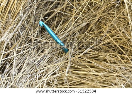 The needle in a haystack concept.