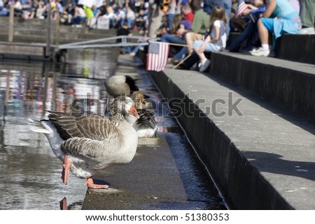 A goose was about the only crasher at this tea party rally in Spokane, Washington on April 15, 2010.