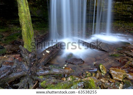 Fern Falls