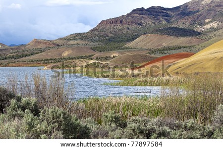 The general view of the reservoir at Painted Hills in Oregon.