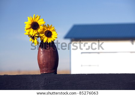 A vase of flowers on a pots and a building in the background.