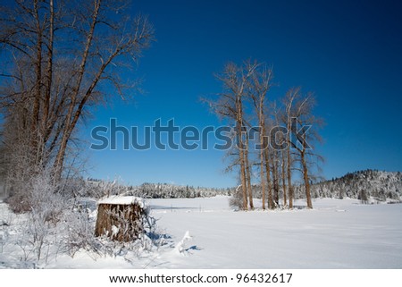 Barren Field Snow