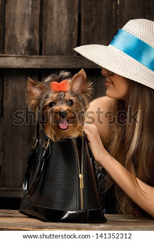 Shot of Yorkshire Terrier dog in bag and young glamor woman over wooden background
