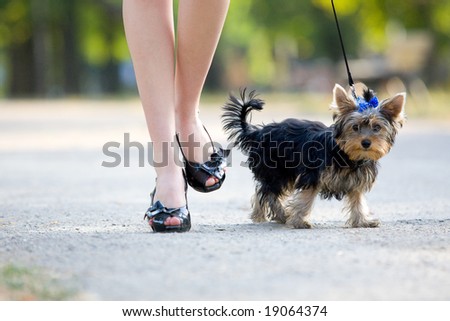 Woman with sweet tiny terrier