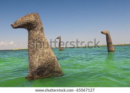 Three straw dinosaurs wade through shallow waters on this island.