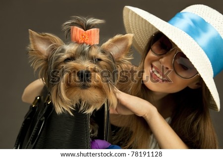 Yorkshire Terrier dog intending to attack, defending his young mistress