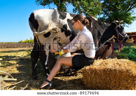 Young woman milking cow on farm