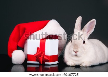 Funny rabbit with Santa hat and Christmas box over dark background