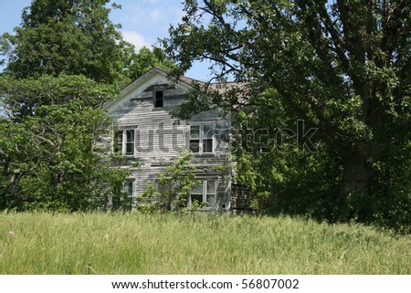 Deserted house peeking out from the overgrowth of trees and bushes with a wide expanse of green grass spreading out from the front.