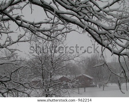 Winter scene with snow-covered tree branches in foreground and a house with snow-covered roof in the distance