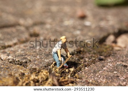 Miniature model figure weeding Miniature model figure weeding between garden slabs.