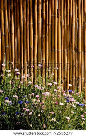 bamboo fence with beautiful flower