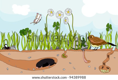 Vector Illustration Of A Nature Underground With Insect And Little 