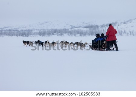 Husky Dogsleds racing in snow