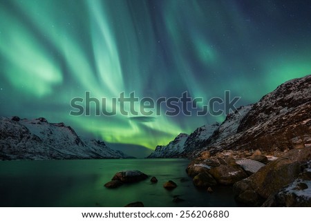 Incredible Aurora Borealis activity above the coast in Norway