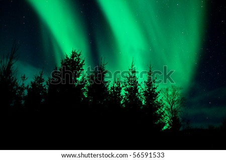 Northern Lights above a forest, Norway