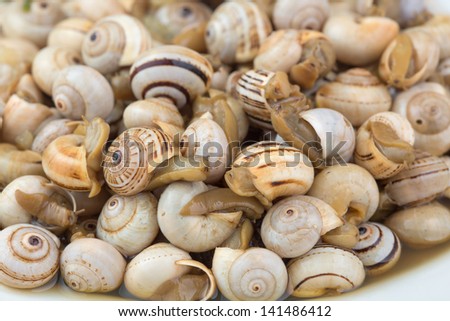 seasoned boiled snails - traditional dish from Southern Europe