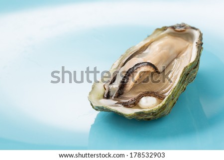 oyster with a pearl on a blue background- shallow DOF