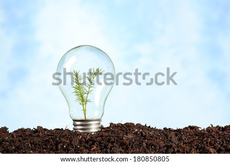 electric bulb on earth with plant - renewable energy concept